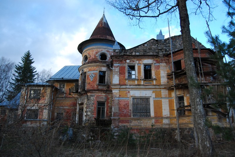 DSC_1995.jpg