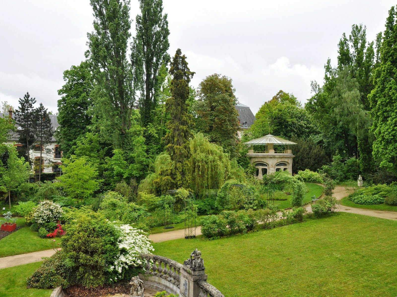 DSC_2445-X3.jpg