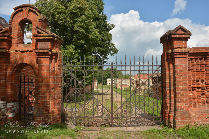 dsc_4097_podvyaz.jpg