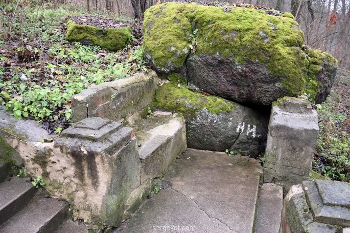 DSC_4255.jpg