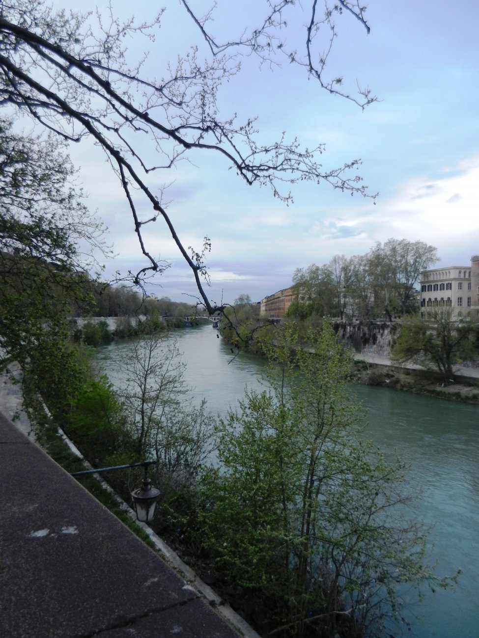 DSCN0537.JPG