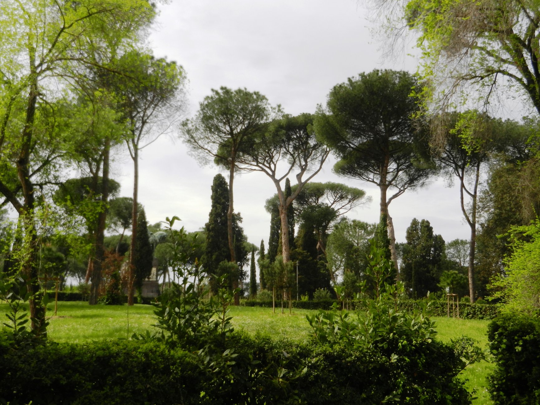 DSCN0561.JPG