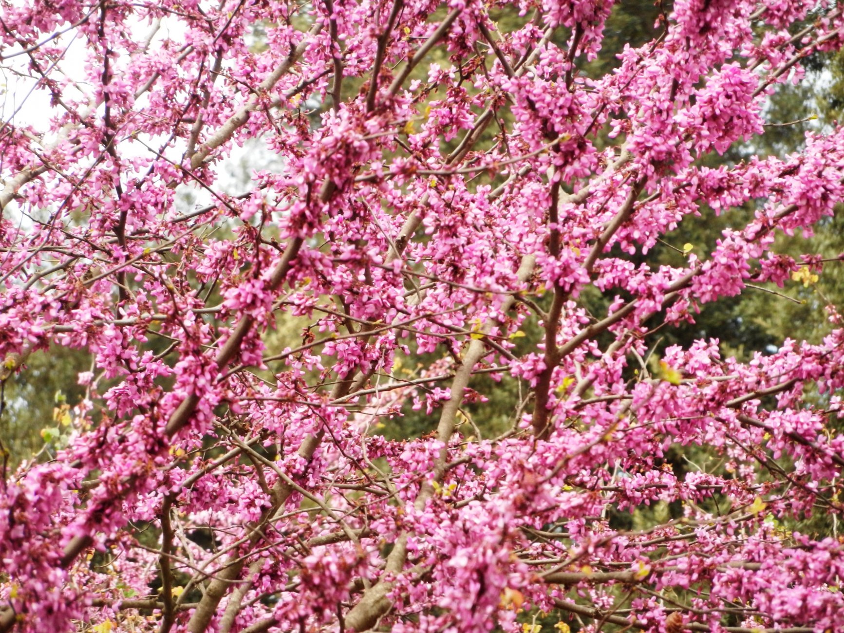 DSCN0570.JPG