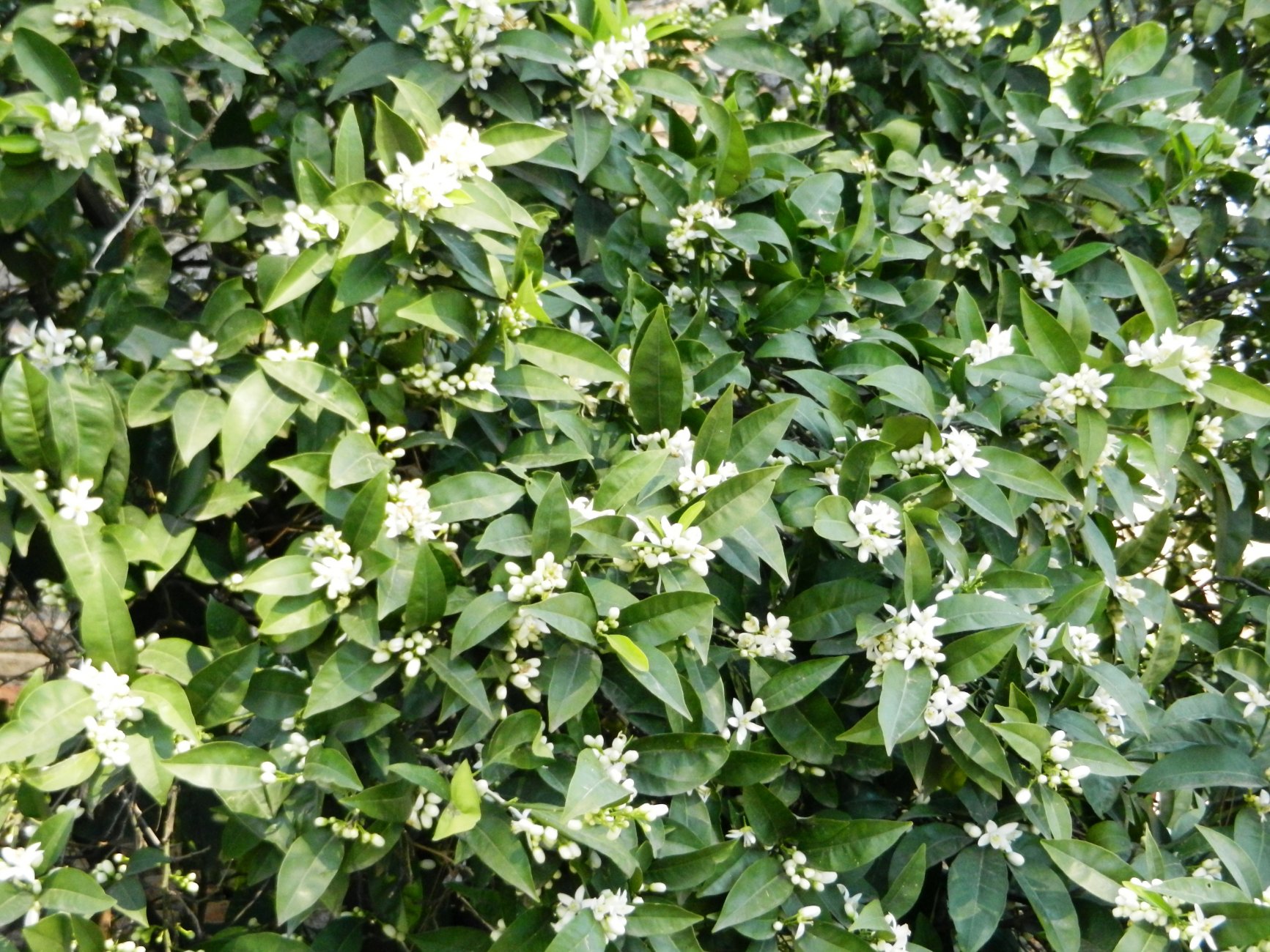 DSCN0672.JPG