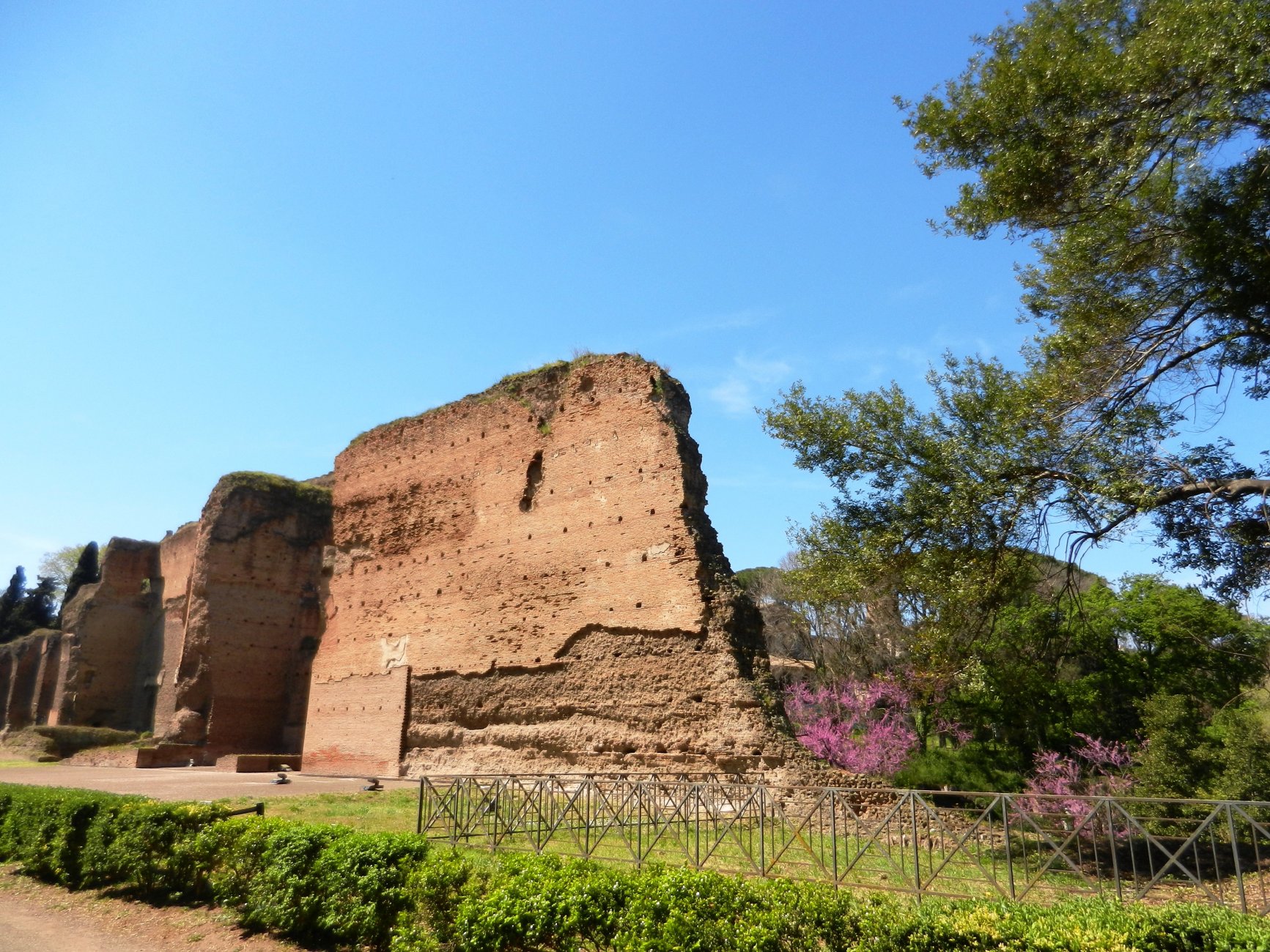 DSCN0705.JPG