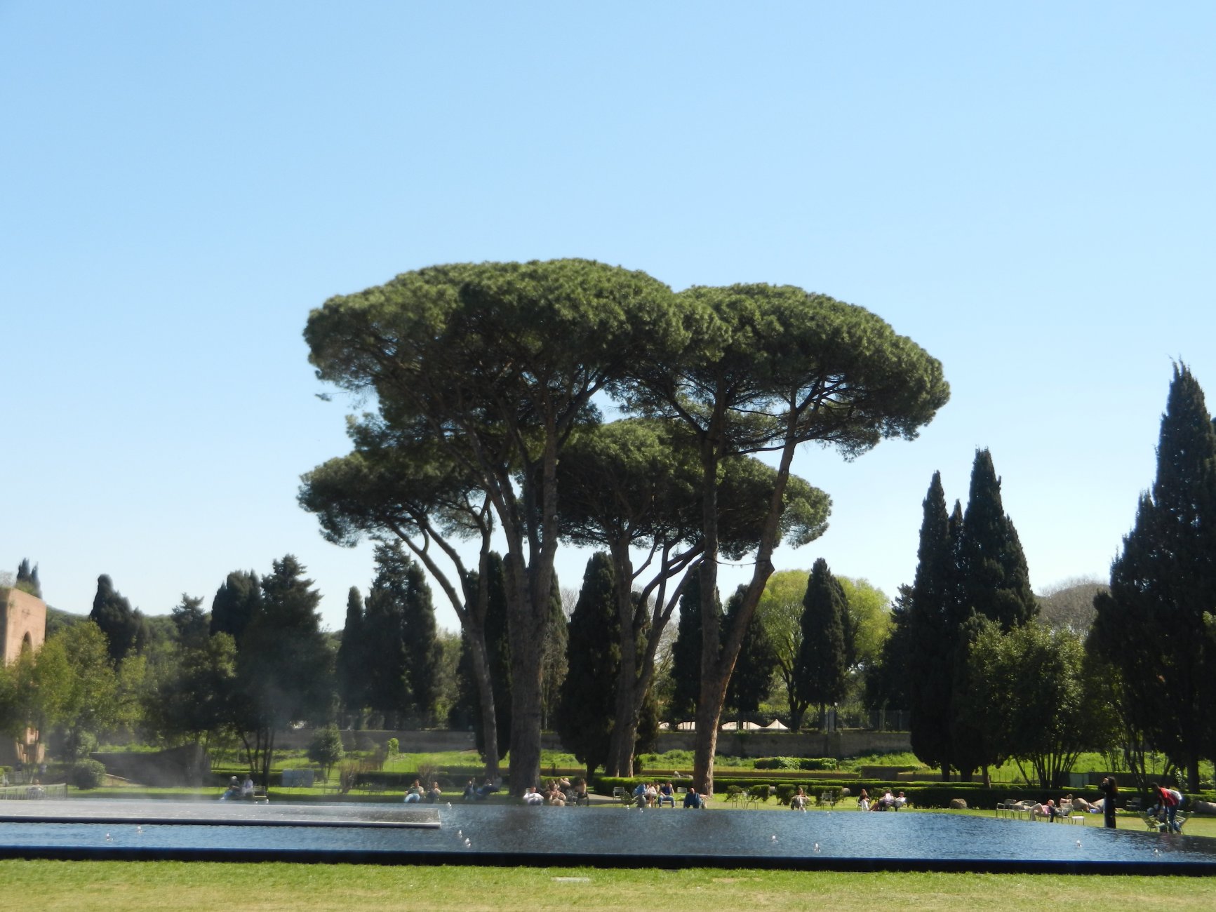 DSCN0716.JPG