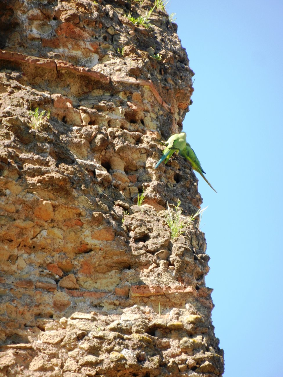 DSCN0724.JPG