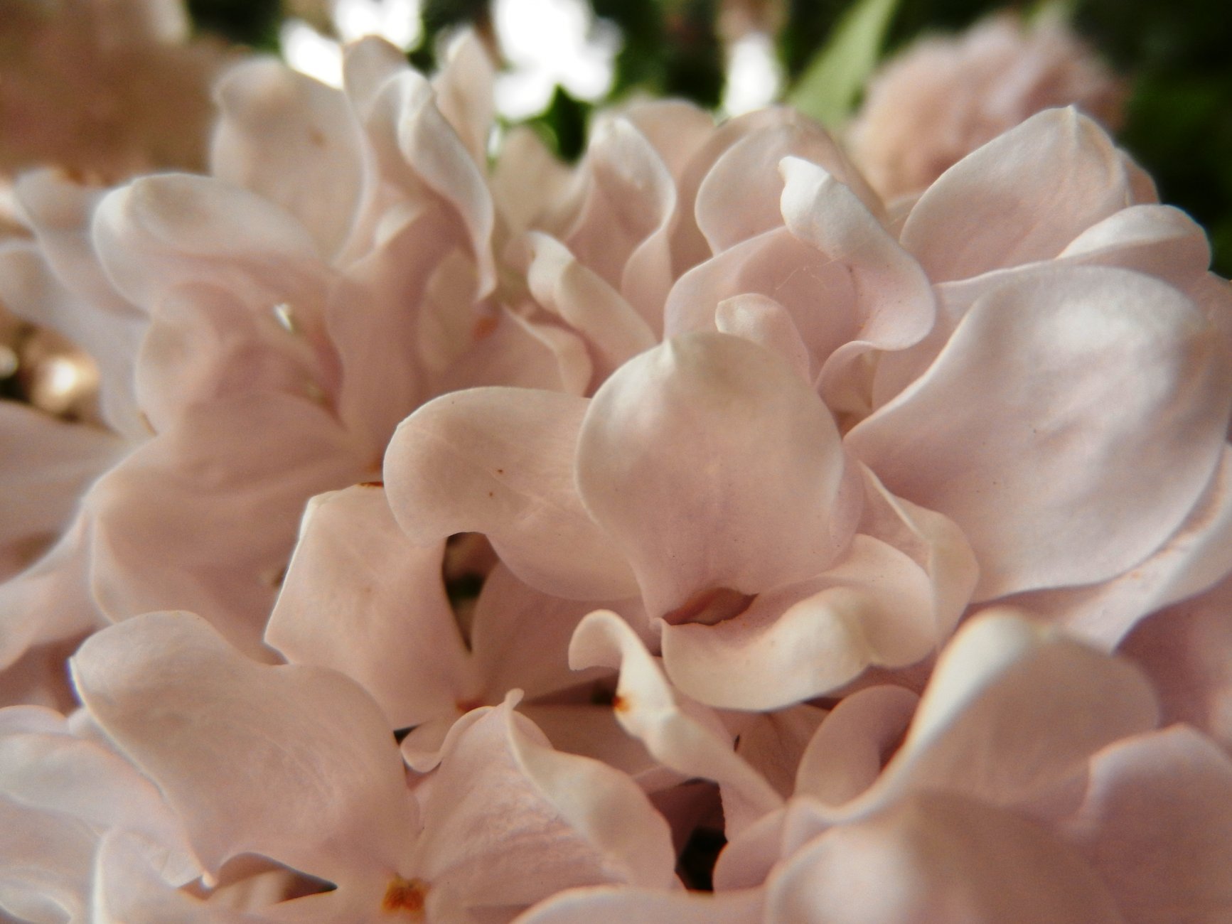 DSCN0791.JPG