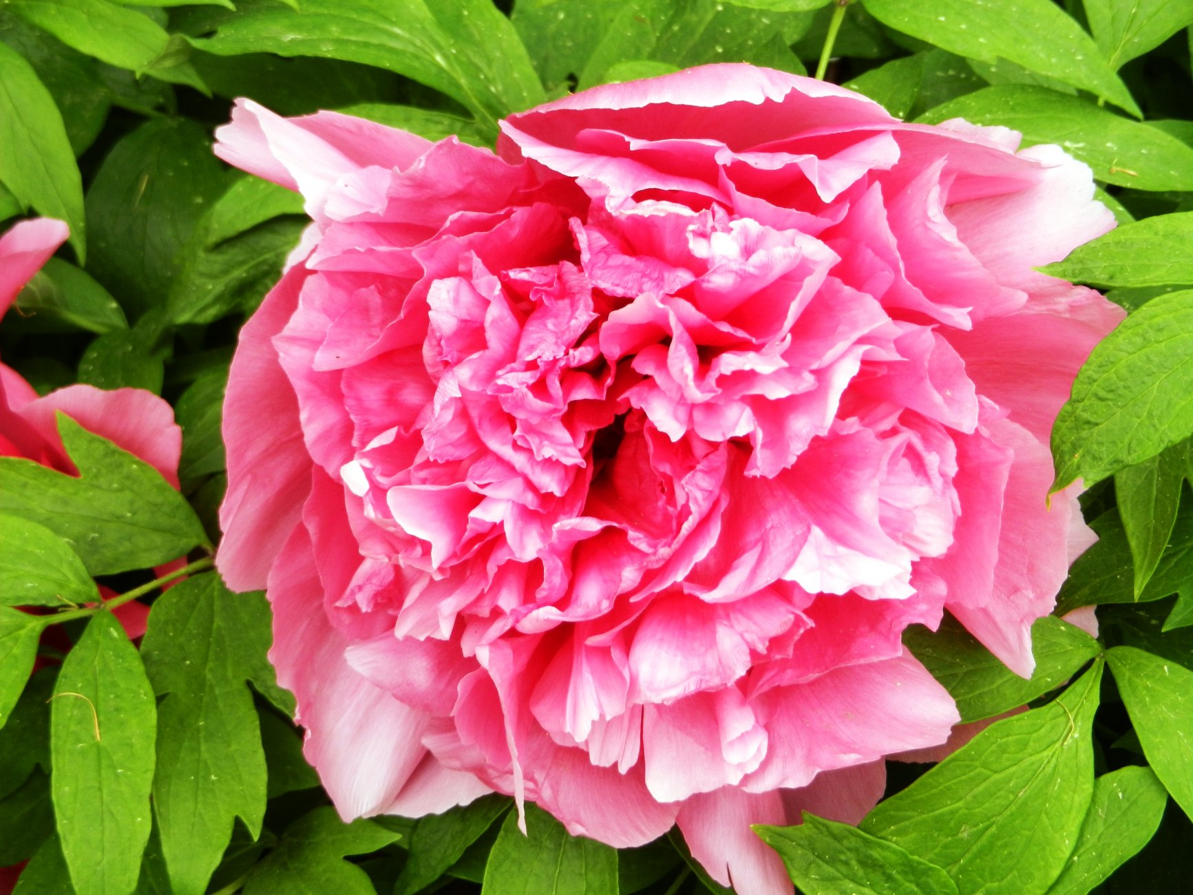 DSCN0803.JPG
