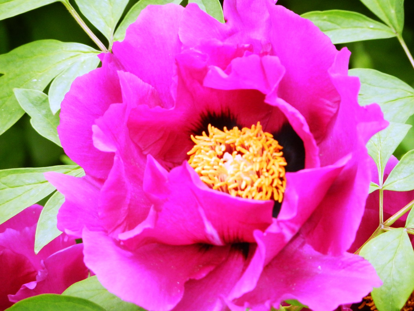 DSCN0806.JPG