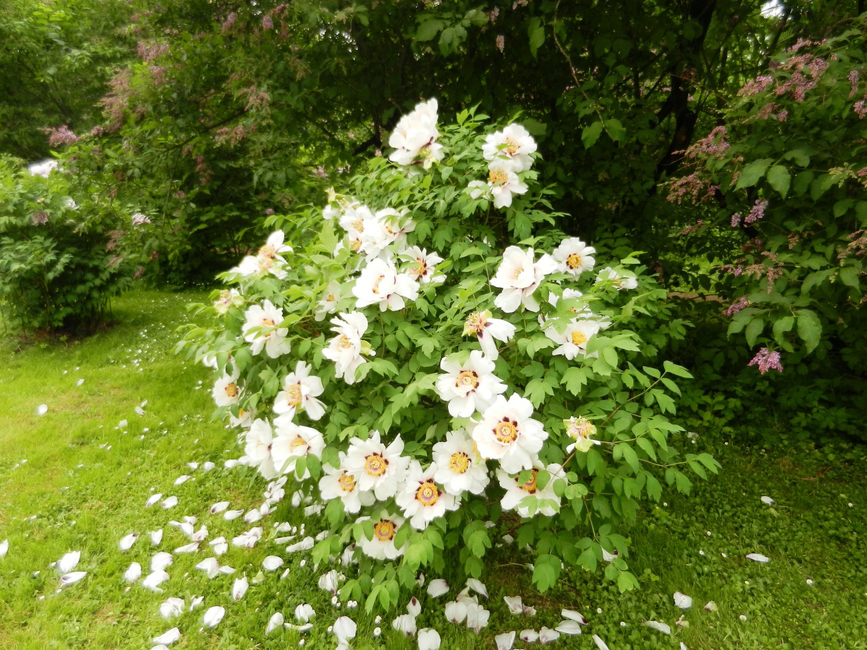 DSCN0807.JPG