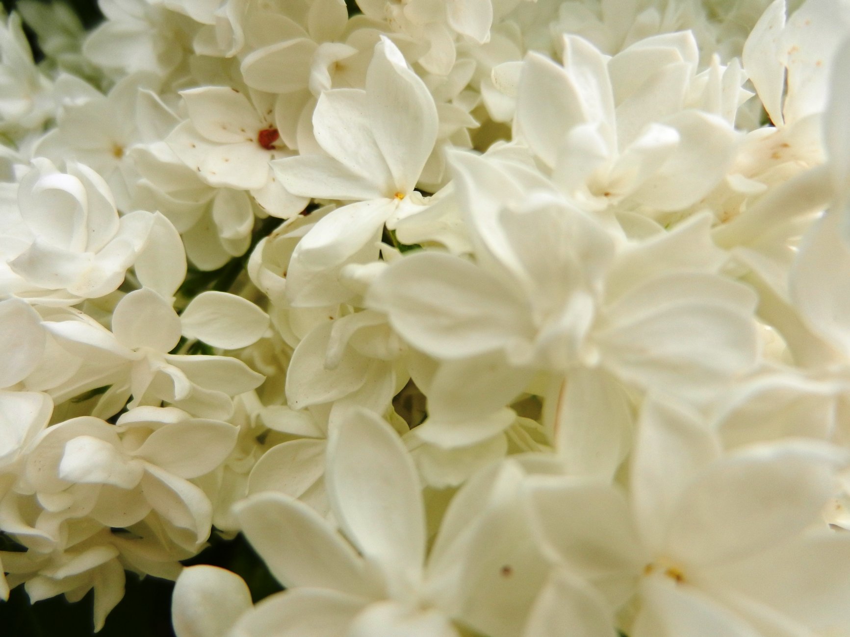 DSCN0814.JPG