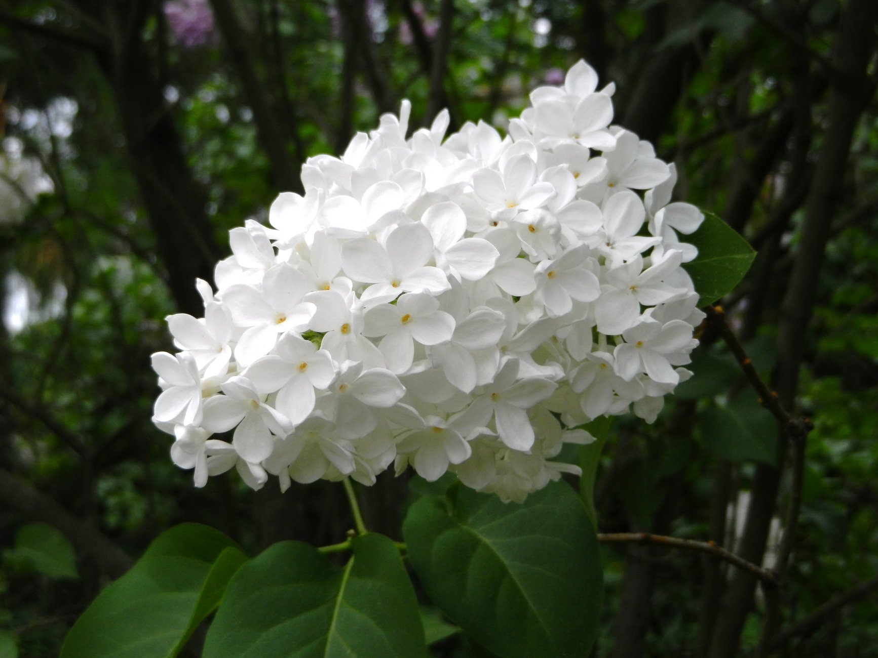 DSCN0818.JPG