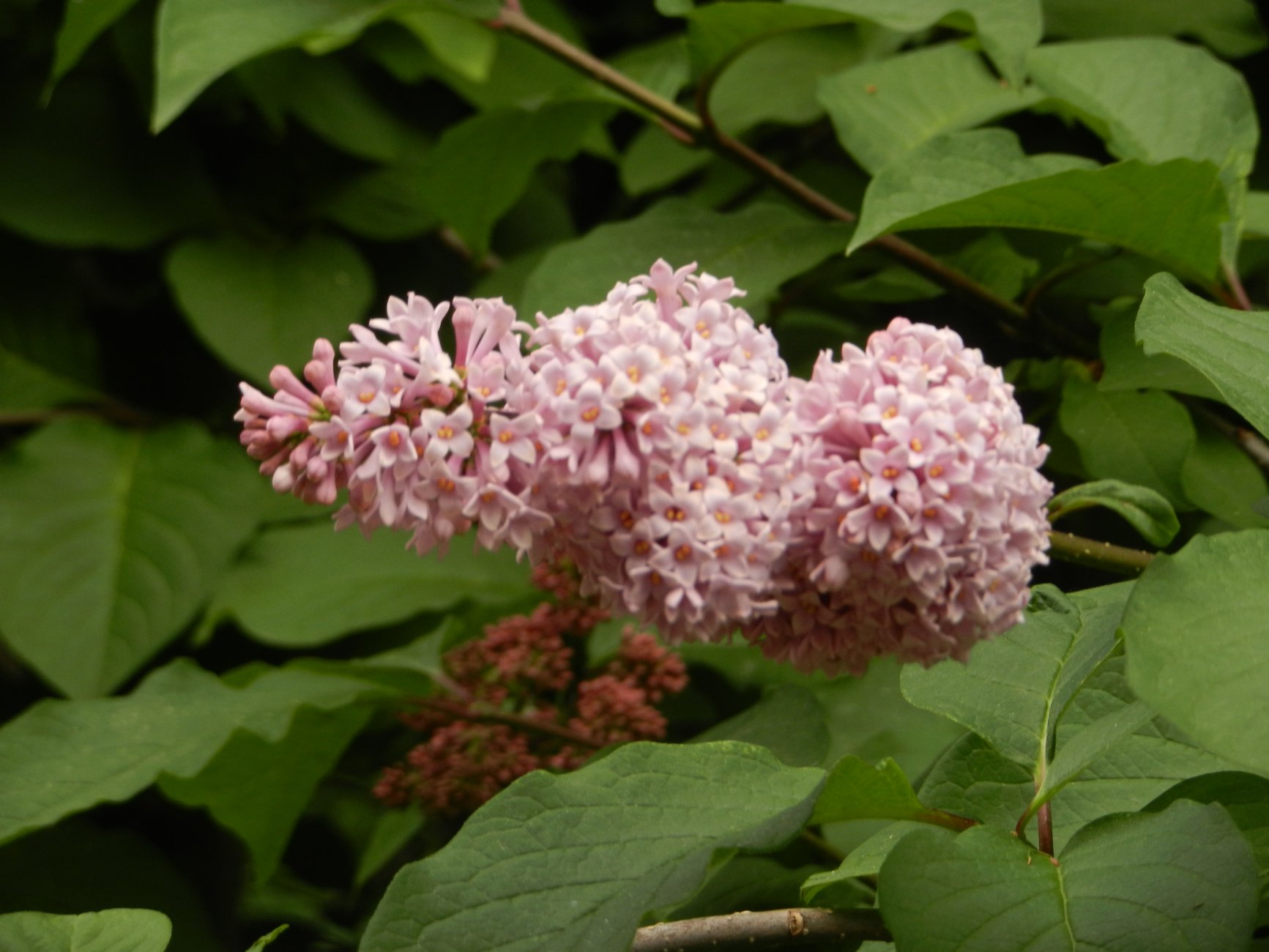 DSCN0835.JPG