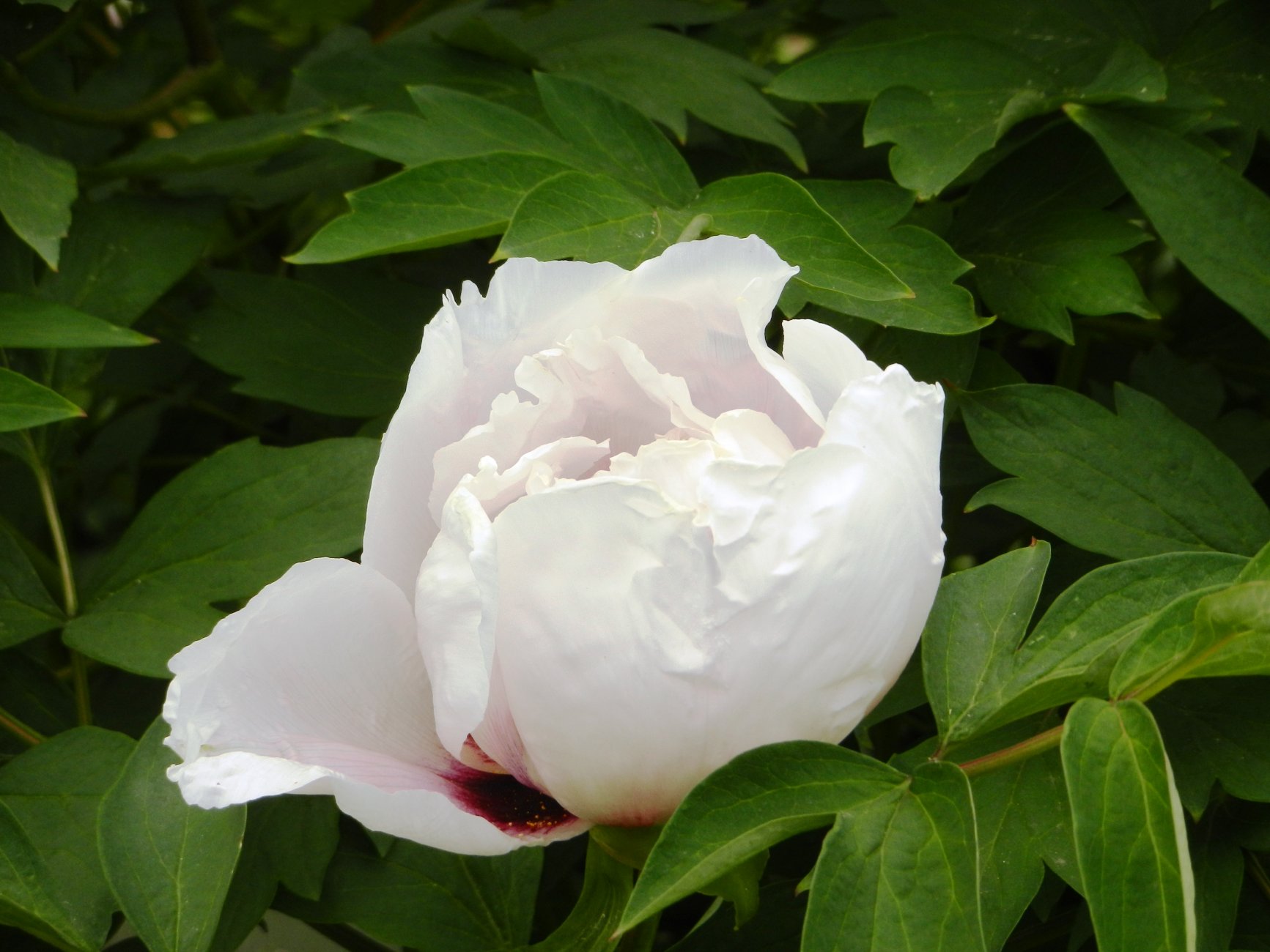 DSCN0836.JPG