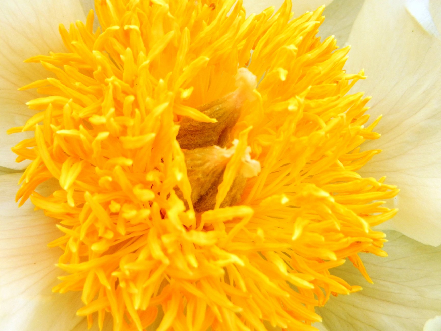 DSCN0846.JPG