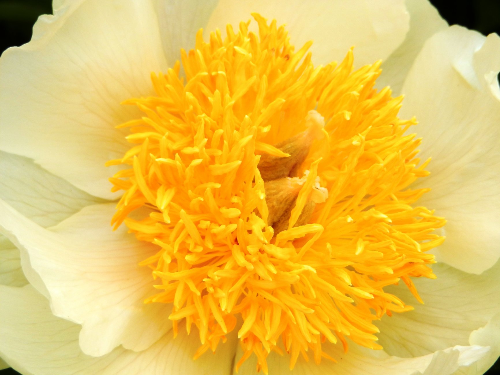 DSCN0847.JPG