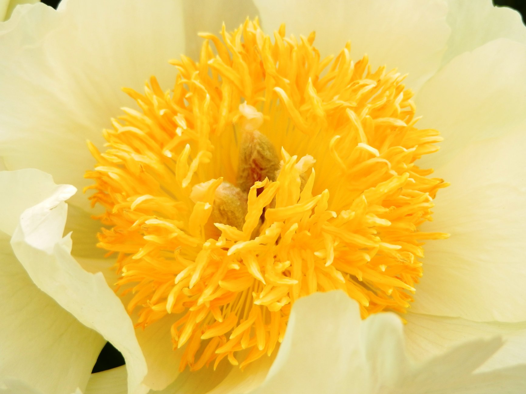 DSCN0848.JPG