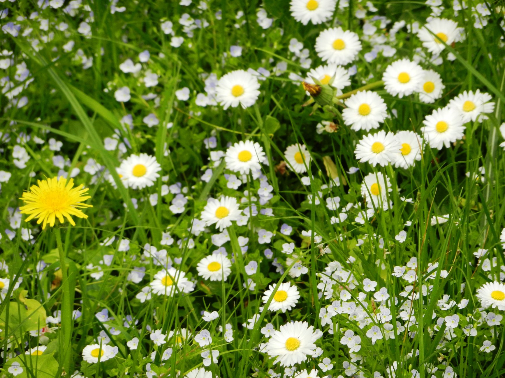 DSCN0858.JPG