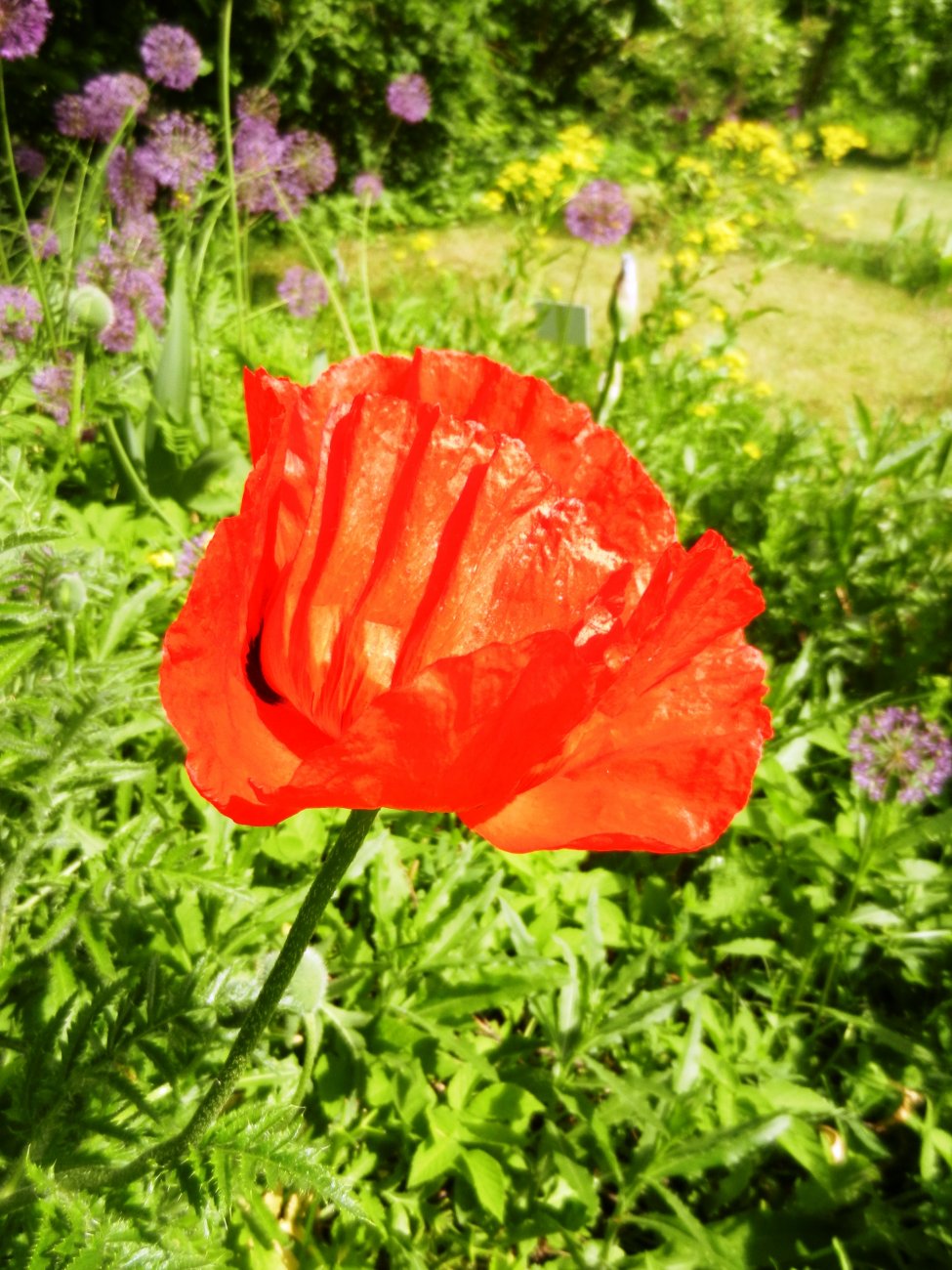 DSCN0867.JPG