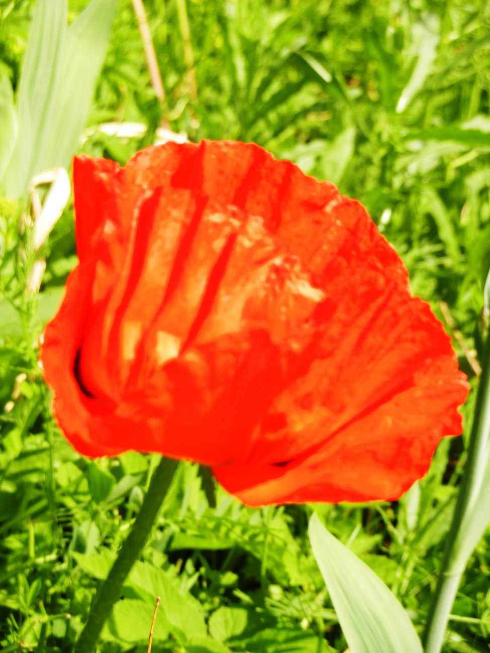 DSCN0870.JPG