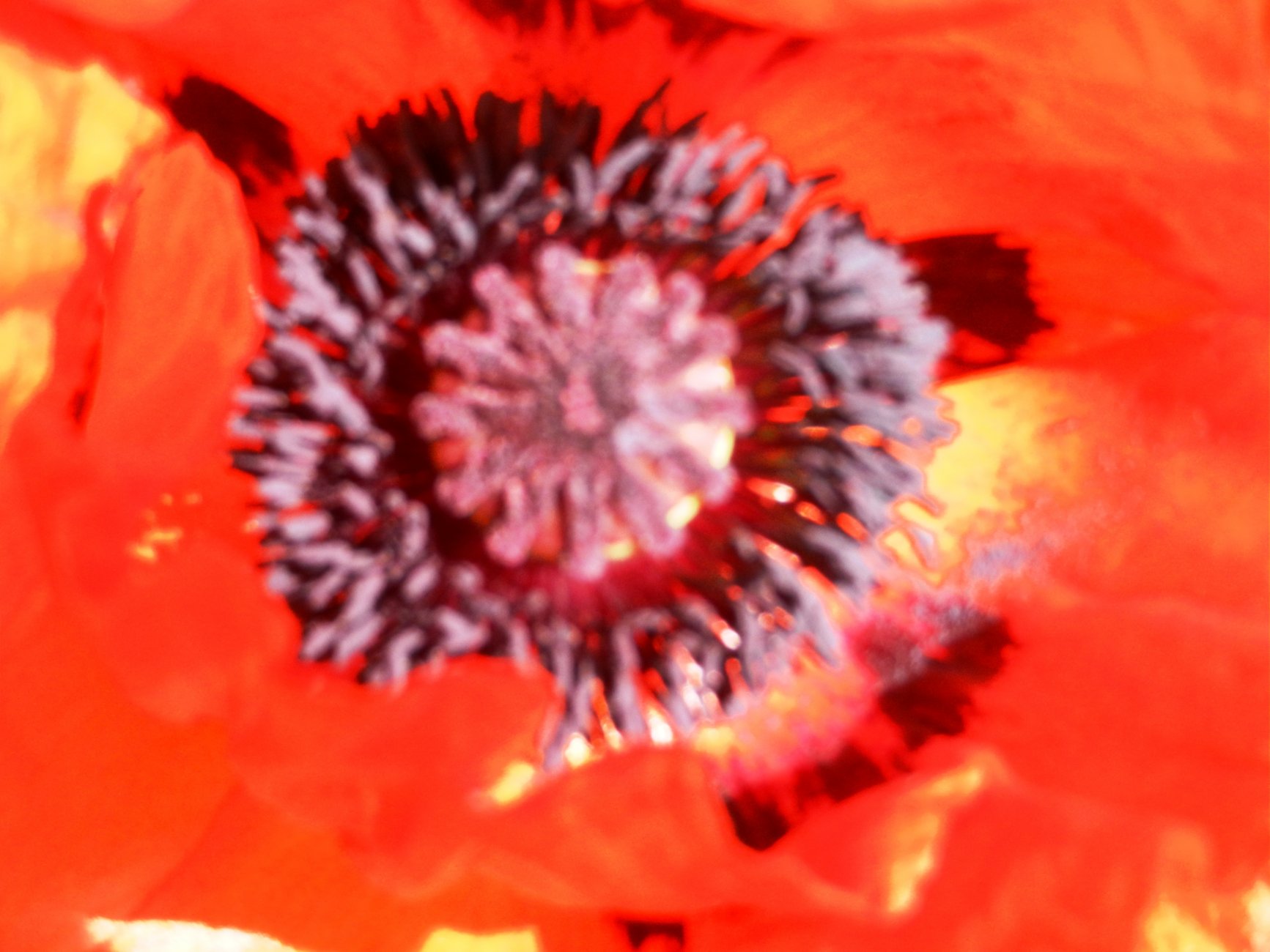 DSCN0875.JPG
