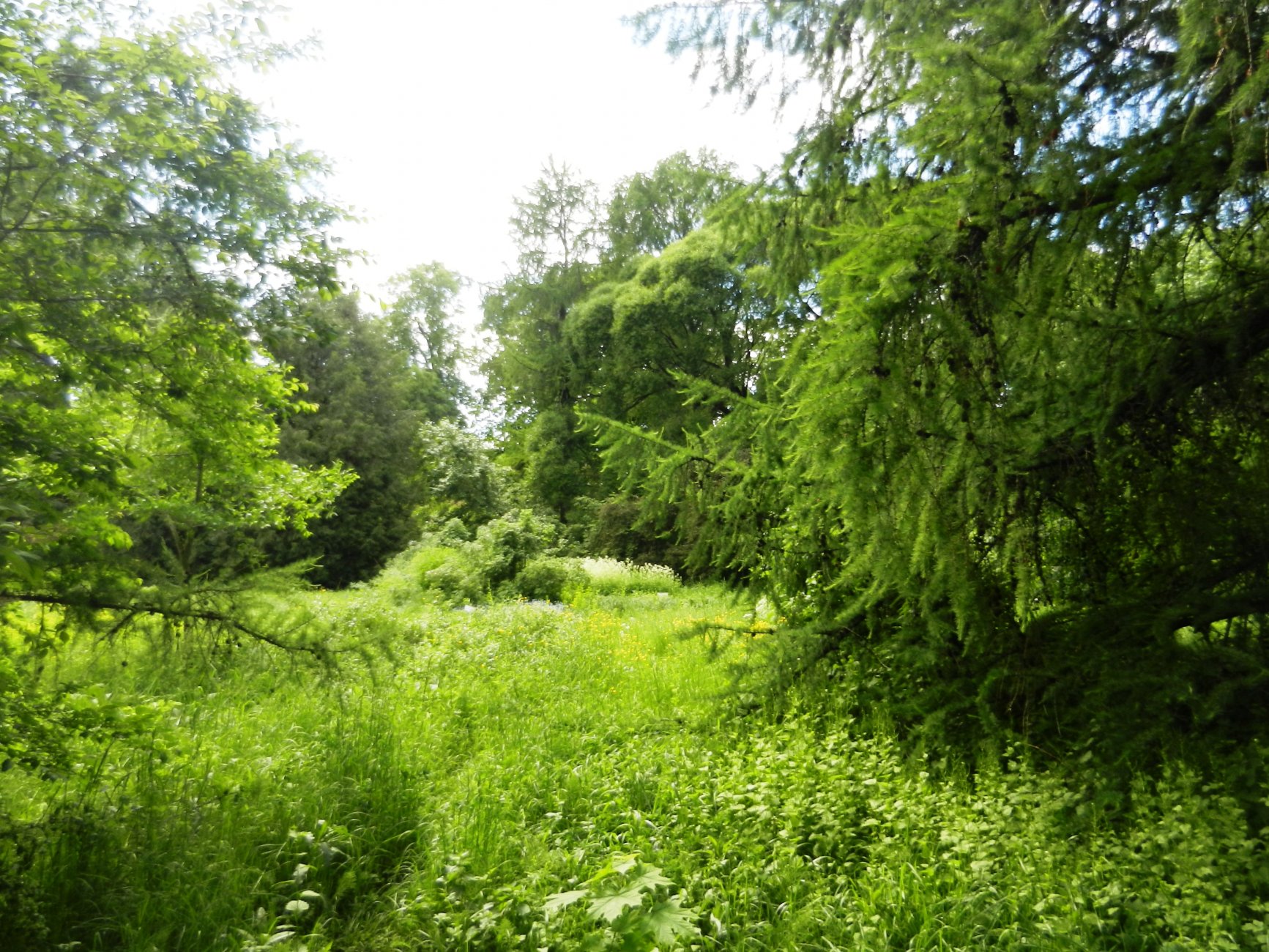 DSCN0879.JPG