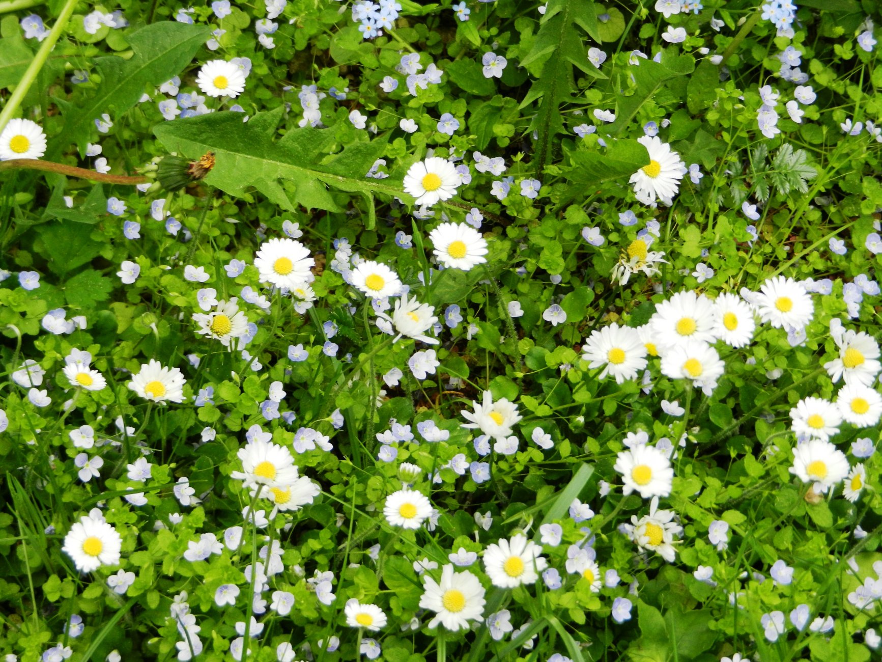 DSCN0880.JPG