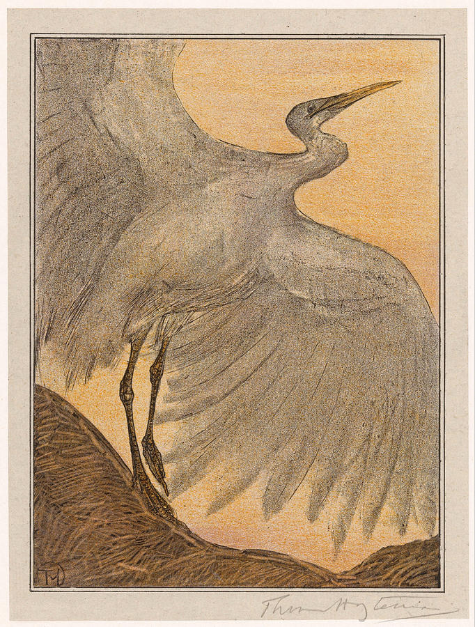 egret-theo-van-hoytema.jpg