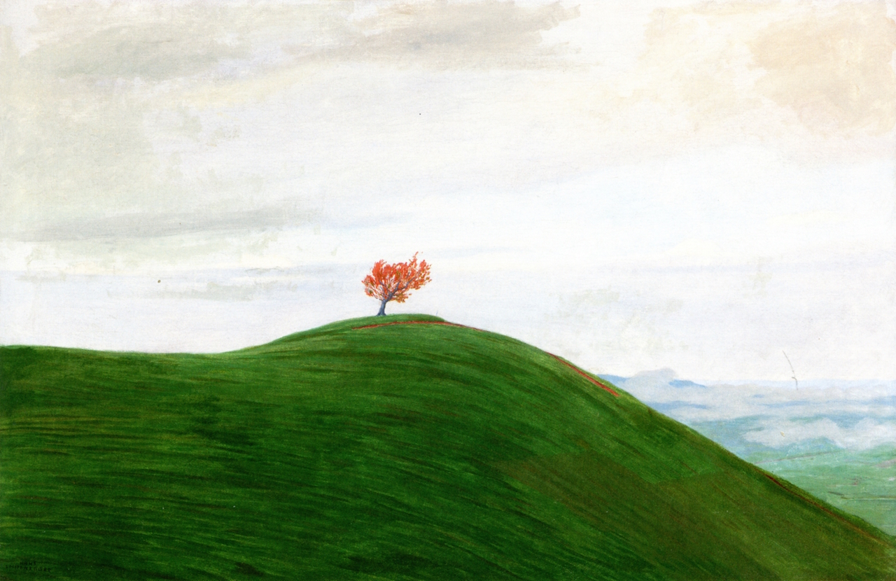 Emmenegger_Bare_Hill_1906.jpg