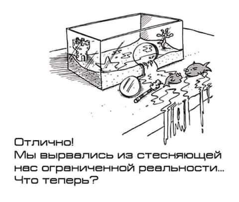 FB_IMG_1604928682508.jpg