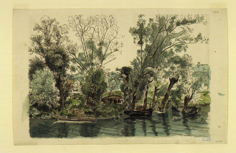 felix_bracquemond_willows_mottiaux_388.jpg