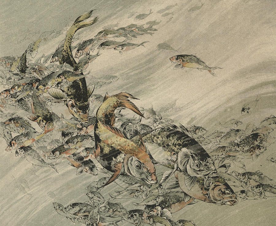 fishes-jules-auguste-habert-dys.jpg
