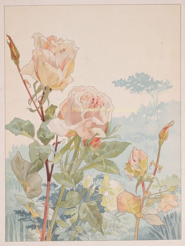 Fleurs-Decoratives-Rose-La-France-Henri-Privat-Livemont-c.-1900-640x853.jpg