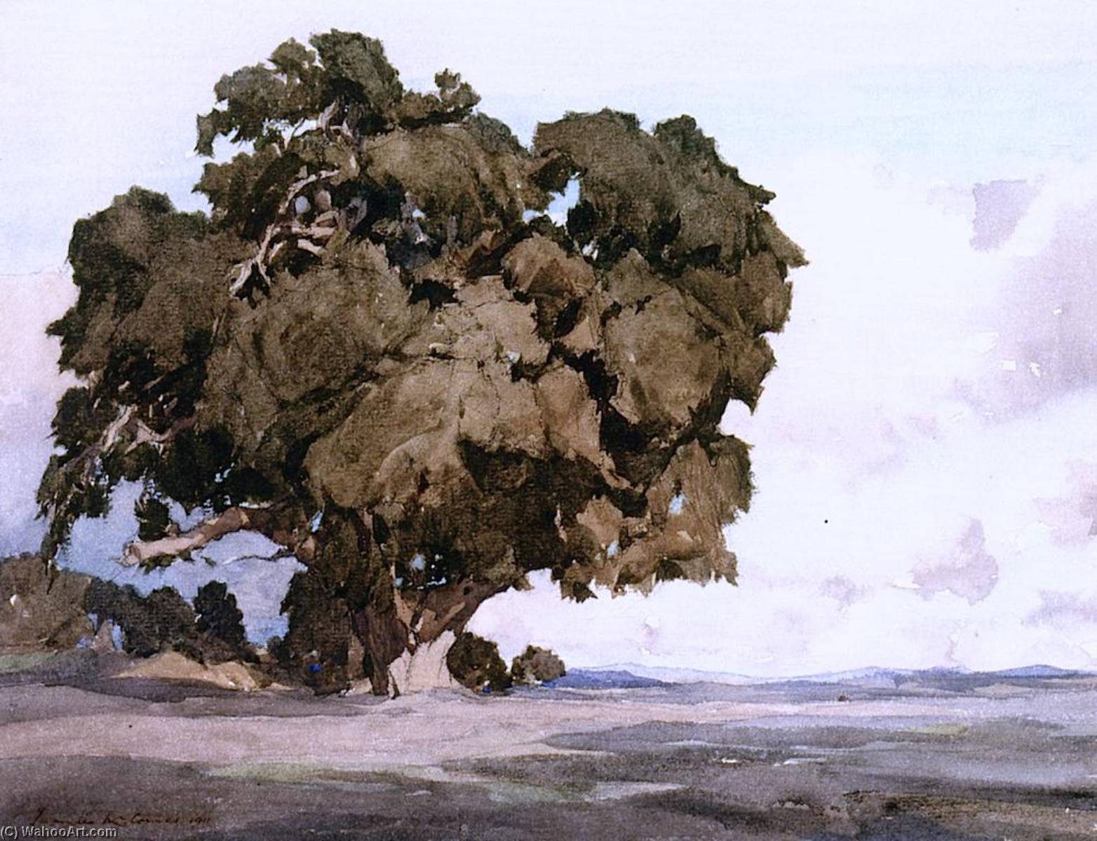 Francis-John-Mccomas-A-Los-Olivos-Oak.jpg