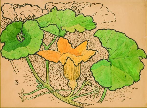 Gisbert_Combaz_-_Study_of_flowers1.jpg