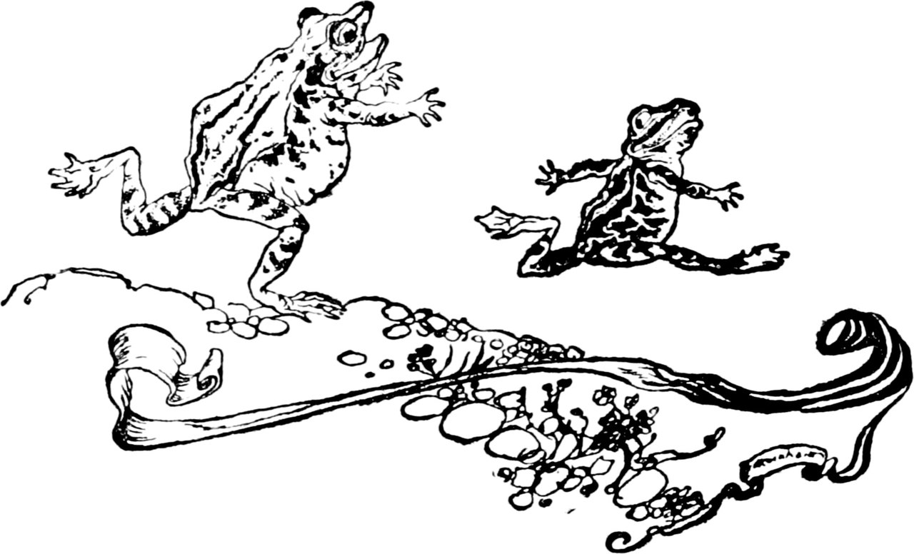 Gulliver-Rackham-136.jpg