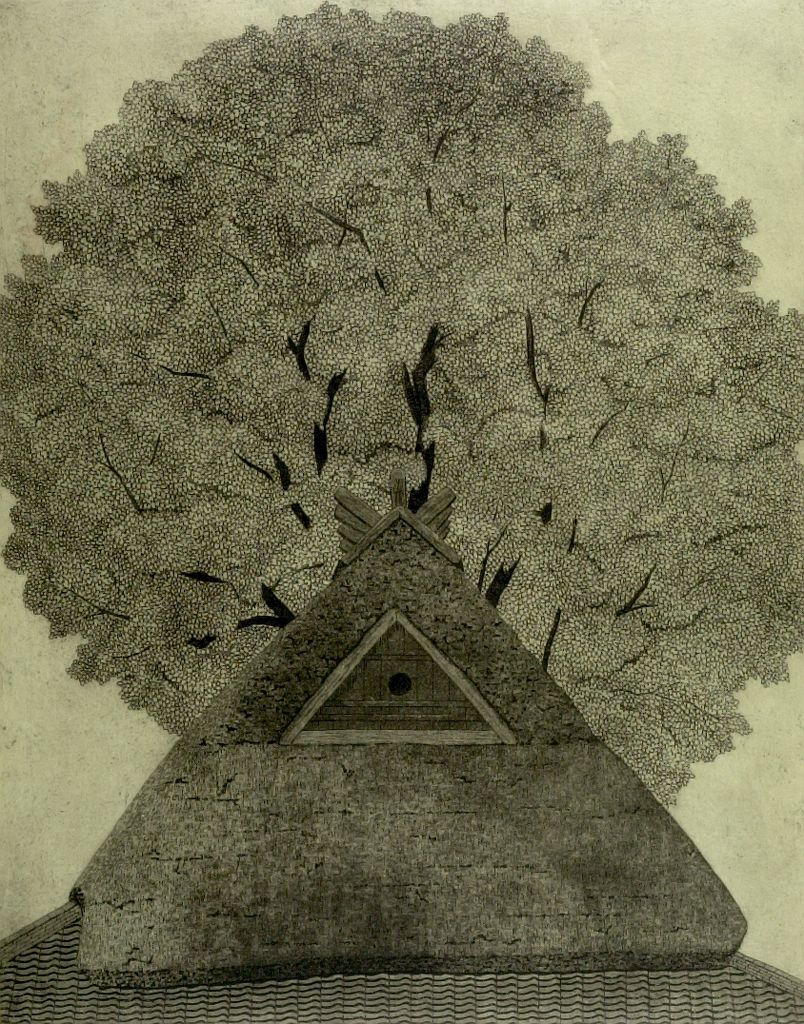 HUAM-CARP07907.jpg