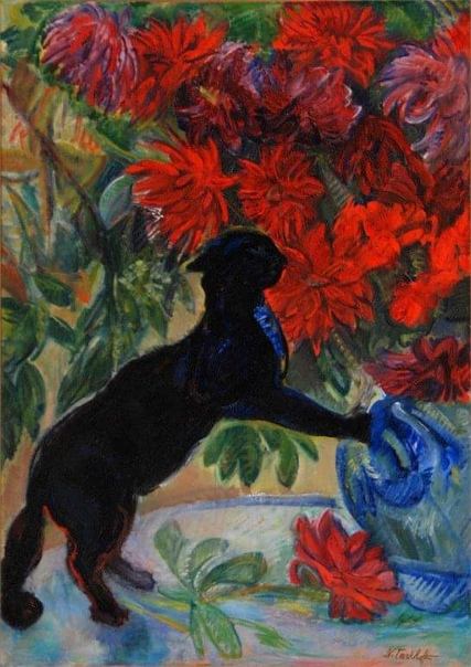 img.jpg