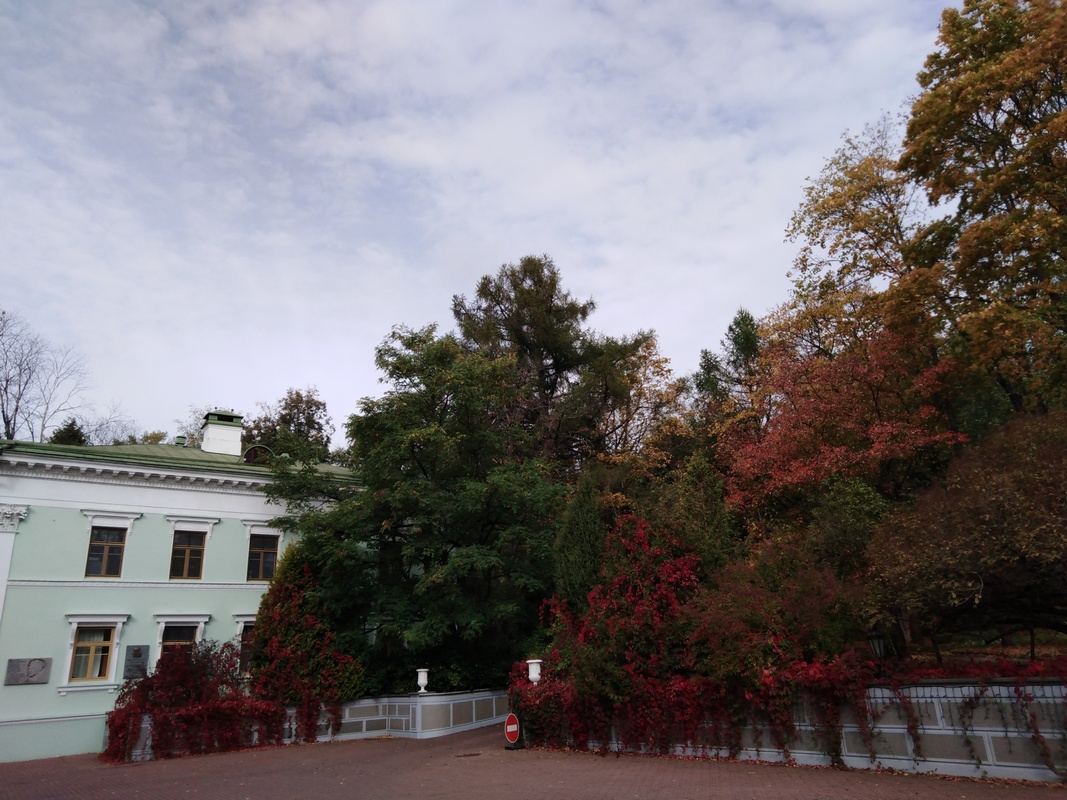 IMG_20231004_115112у.jpg