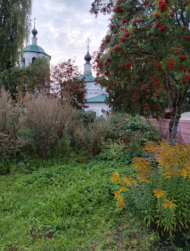 IMG_20250829_063506_217.jpg