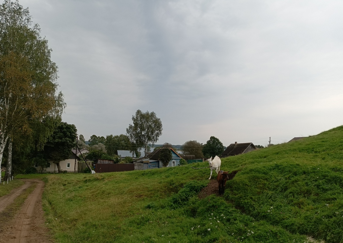 IMG_20250829_074838_109.jpg