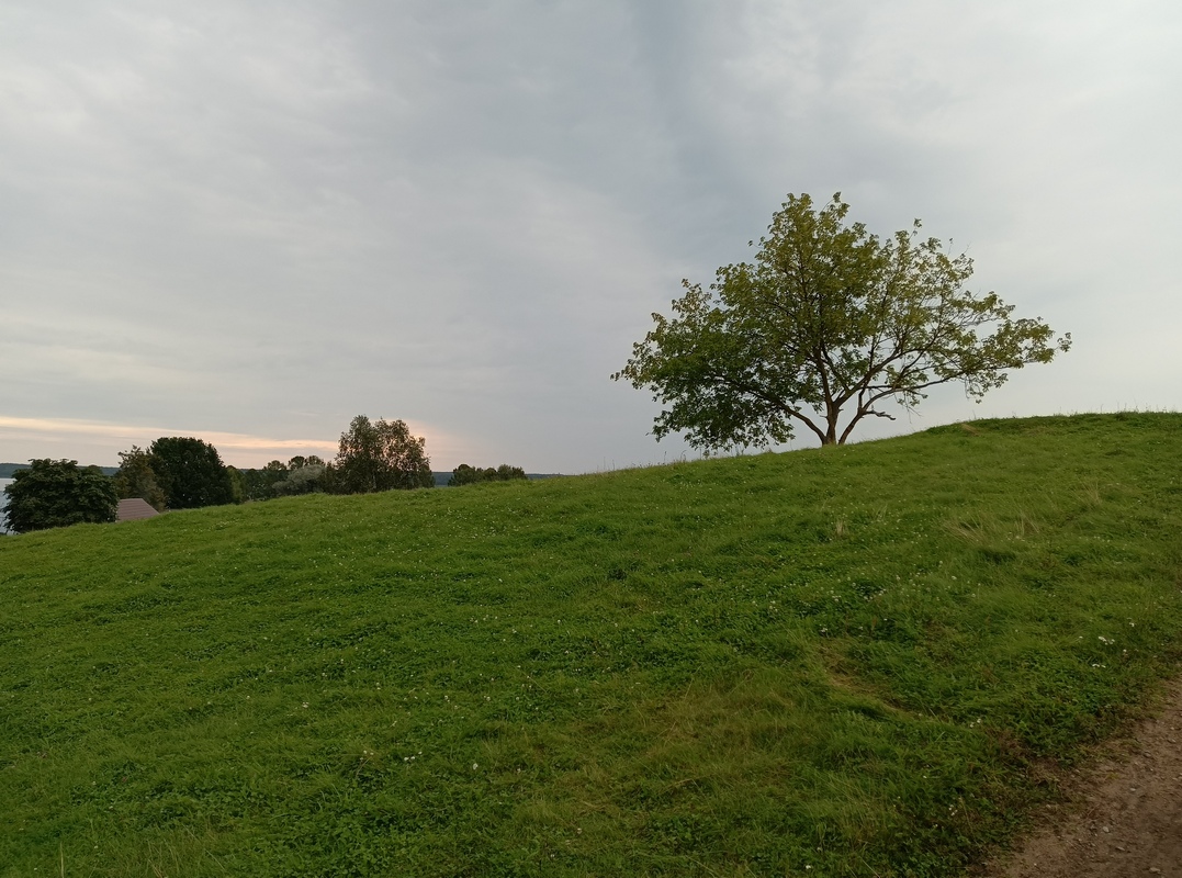 IMG_20250829_074934_165.jpg