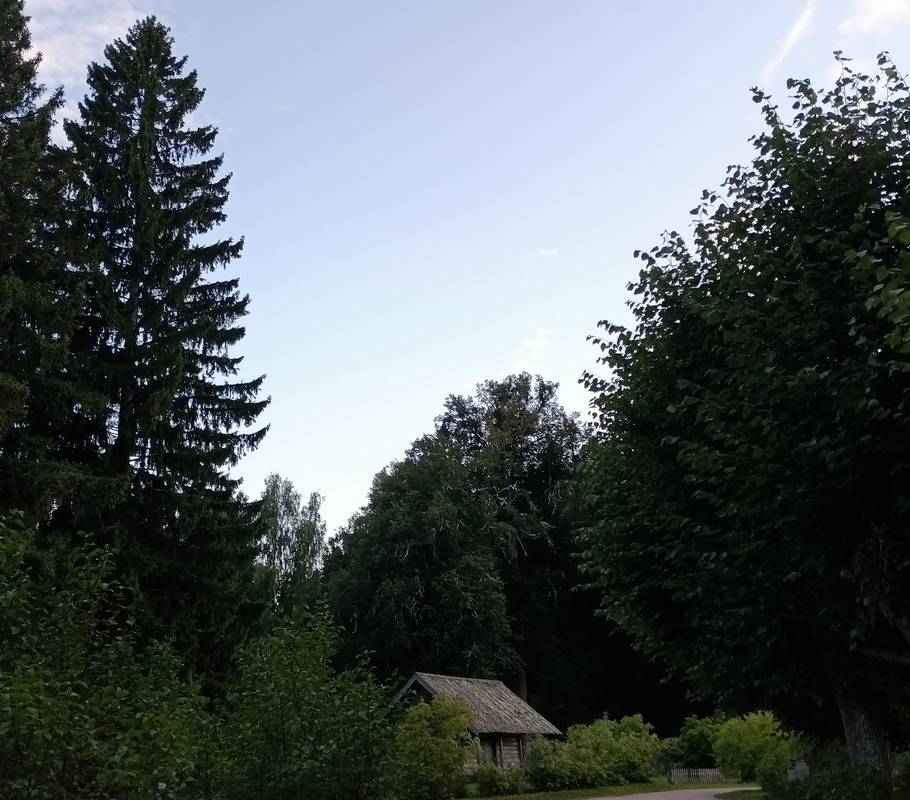 IMG_20260808_203229_787.jpg