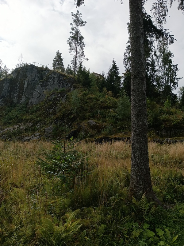 IMG_20260827_092917_296.jpg