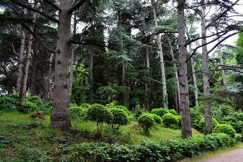 karasan-park-3.jpg