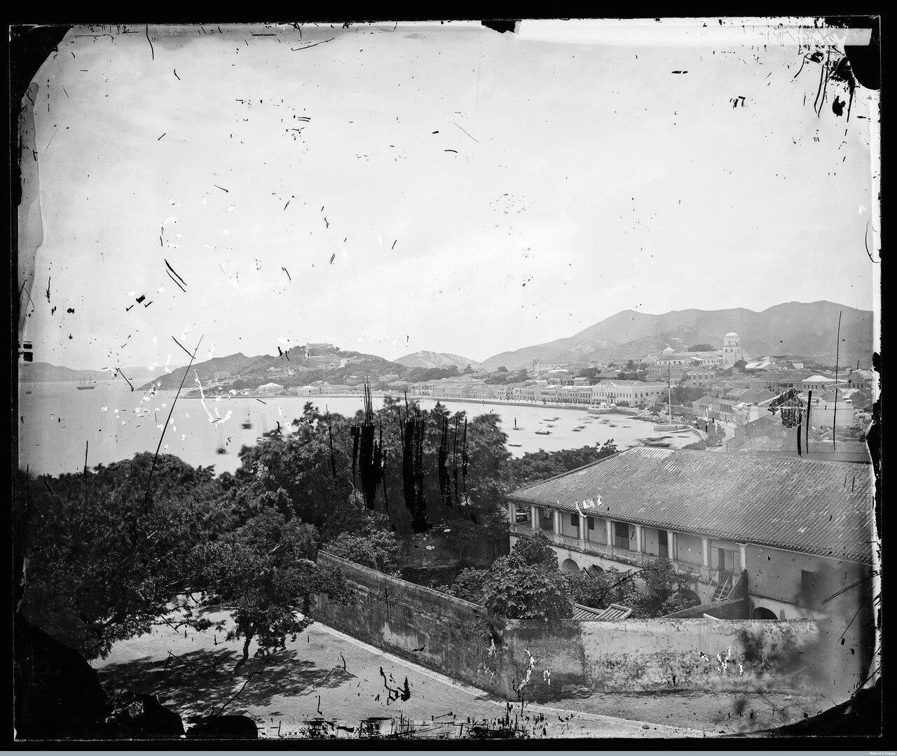 L0055552.jpg