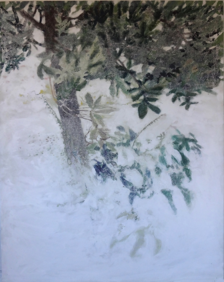 Malgorzata-Paszko-Brume-2019©Mаalgorzata-Paszko.jpg