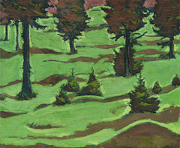 meadow.jpg