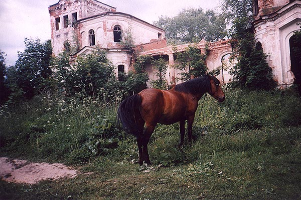 novrom-ab-2.jpg